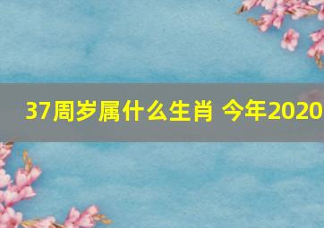 37周岁属什么生肖 今年2020